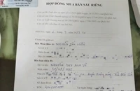 Truy nã người lừa bán vườn sầu riêng 'vịt giời' cho nhiều người