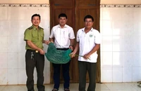 1 phụ nữ tham gia bắt trăn gấm trong chuồng gà để bàn giao cho chính quyền
