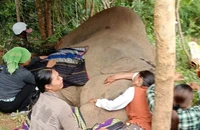 Đón voi về nhà vui như đón dâu, tiễn voi đi như tiễn người đã khuất