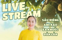 Nữ bí thư xã ở Đắk Lắk sẽ livestream bán sầu riêng giúp bà con