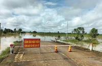 Mưa lớn ở Đắk Lắk gây chia cắt, ngập cục bộ nhiều nơi