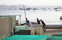 Đắk Lắk: Đưa 92 hộ dân lên chùa và trường học để tránh bão số 13 Kalmaegi