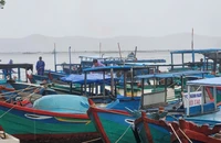Vùng gần tâm bão số 13 ở Đắk Lắk sẽ có gió giật cấp 15