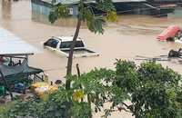 Đắk Lắk: Hơn 50 công nhân thi công cao tốc kêu cứu vì bị lũ cô lập