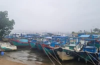 Đắk Lắk ban hành lệnh cấm biển để ứng phó bão số 15