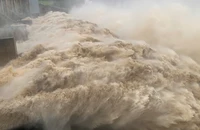 Công ty Thủy điện Sông Ba Hạ tạm thay đổi nhiều nhân sự lãnh đạo, điều hành do phải làm việc với cơ quan chức năng