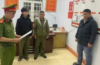 Khởi tố giám đốc sản xuất hàng trăm tấn lúa giống giả thương hiệu ST