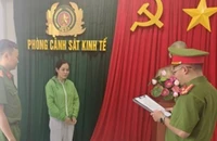 Nữ giám đốc mua hơn 500 hóa đơn để né thuế