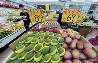 Lý do Trung Quốc ngừng nhập khẩu xoài của Đài Loan