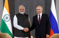 Ông Putin điện đàm với ông Modi, xác nhận sẽ không trực tiếp dự thượng đỉnh G20 