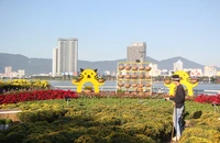 Rộn ràng đường hoa xuân Đà Nẵng