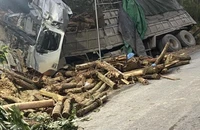 Ủy ban ATGT Quốc gia thông tin vụ tai nạn 7 người chết