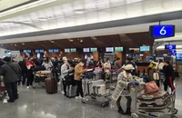 Trung Quốc chưa có ý kiến về việc nối lại đường bay thường lệ với Việt Nam
