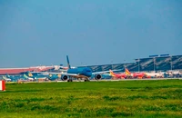 Tạm giữ 4 tiếp viên hàng không nghi xách ma túy, thuốc lắc về Việt Nam