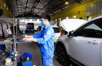 Cách kiểm tra xe ô tô được tự động gia hạn đăng kiểm