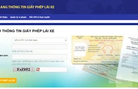 Đề nghị Bộ Công an xử lý website giả mạo giấy phép lái xe