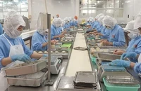 BHXH giải đáp về đề xuất giảm đóng bảo hiểm thất nghiệp của doanh nghiệp 