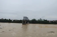 Lập tổ giám sát tiến độ xây dựng cầu Phong Châu, Phú Thọ