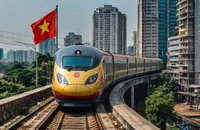 Dự án đường sắt cao tốc Bắc – Nam: 'Phải tính đúng, không tô hồng bức tranh tài chính'