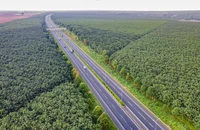 Chính phủ: Tăng vốn điều lệ để VEC đầu tư cao tốc là ‘cần thiết và cấp bách’
