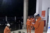 Điện lực miền Bắc khẩn trương khắc phục sự cố điện do bão số 5 ở Nghệ An, Hà Tĩnh 