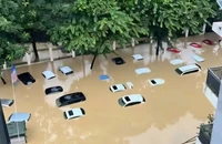 Lũ lịch sử ở Thái Nguyên: Bạc tỉ trôi theo... nước bạc