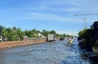 Triều cường gây ngập trên Quốc lộ 1 đoạn qua Cần Thơ