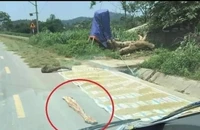 Phơi lúa trên đường: Coi chừng bị xử lý hình sự