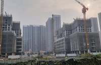 Rút gọn thủ tục cấp giấy phép xây dựng, thời gian chỉ còn 7 ngày