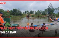 Cà Mau: Phát huy tiềm năng du lịch sinh thái, du lịch cộng đồng.