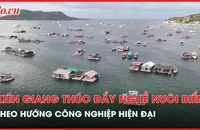 Kiên Giang: Thúc đẩy nghề nuôi biển phát triển nhanh theo hướng công nghiệp, hiện đại