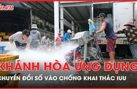 Khánh Hòa ứng dụng chuyển đổi số vào chống khai thác IUU