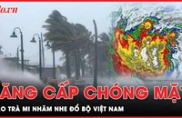 Bão Trà Mi giật cấp 15, nhăm nhe đổ bộ Trung bộ Việt Nam 