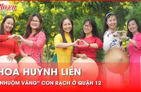 Hoa huỳnh liên 'nhuộm vàng' con rạch ở quận 12, nhiều người diện áo dài đến check-in