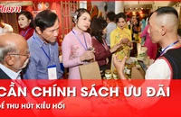 Kiều bào mong muốn TP.HCM có nhiều chính sách hỗ trợ để thu hút kiều hối tốt hơn