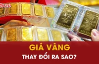 Giá vàng trong nước thay đổi ra sao?