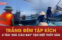 Hải đội 2 và Biên phòng trắng đêm tập kích 4 tàu ‘giã cào bay’ tận diệt thủy sản