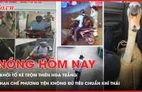 Khởi tố kẻ trộm thiên nga trắng ở Thảo Cầm Viên; TP.HCM tiến tới hạn chế phương tiện không đủ tiêu chuẩn khí thải