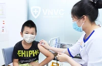 Cảnh báo trẻ mắc viêm não Nhật Bản do muỗi đốt