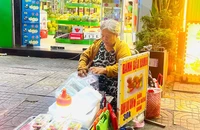 "Tiệm" bánh trái cây đậu xanh đủ màu của dì Hai Bưởi