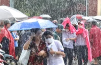 Bánh mì, trà đá và diễm phúc được yêu thương 