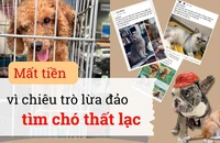 Lợi dụng tình yêu động vật của nhiều người, "cò" tìm chó mèo tung ra nhiều chiêu trò để dẫn dụ người mất chó chi nhiều khoản tiền lên đến hàng chục triệu đồng