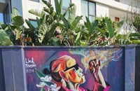 Bạn đọc tranh cãi vụ vẽ tranh graffiti lên tường nhà bị phạt
