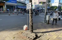 Hàng loạt cây xanh 'thoi thóp': Ý thức kém dẫn đến hậu quả khôn lường