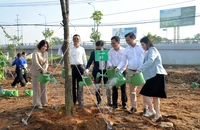 TP Thủ Đức đã trồng hơn 1 triệu cây xanh kể từ khi thành lập