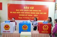 Một phường ở TP.HCM vận hành thử nghiệm ngày bầu cử 