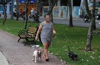 Tỉ lệ tiêm phòng dại ở chó mèo thấp, nguy cơ bệnh dại tăng cao
