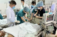 10 người ngộ độc cá chép muối ủ chua, bác sĩ Chợ Rẫy đem 5 lọ thuốc hiếm cứu chữa