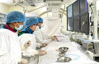 Ngành y tế TP.HCM đã phục hồi như trước dịch COVID-19