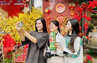 Đến 'Sắc quê Quảng Ngãi', nôn nao muốn về nhà ăn Tết